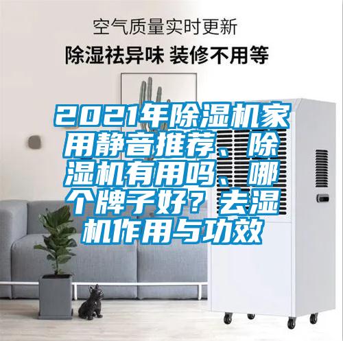 2021年除濕機(jī)家用靜音推薦、除濕機(jī)有用嗎、哪個牌子好？去濕機(jī)作用與功效
