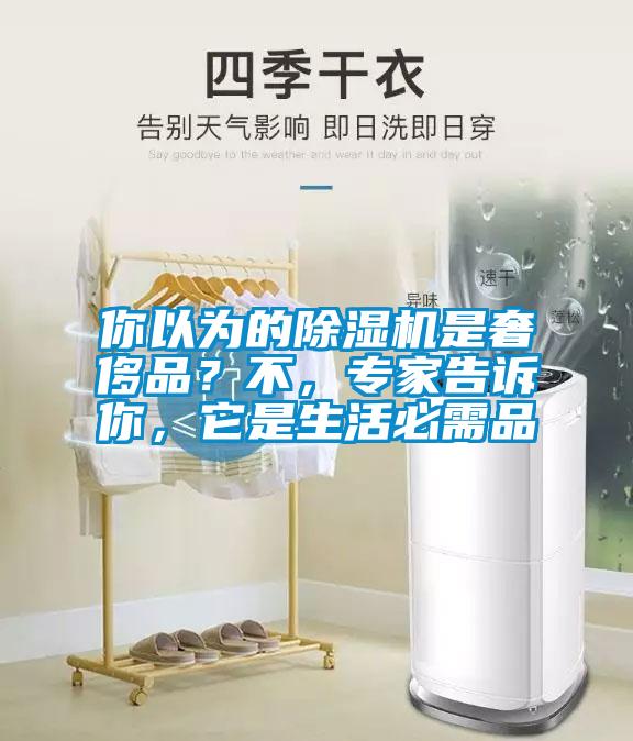 你以為的除濕機(jī)是奢侈品？不，專家告訴你，它是生活必需品