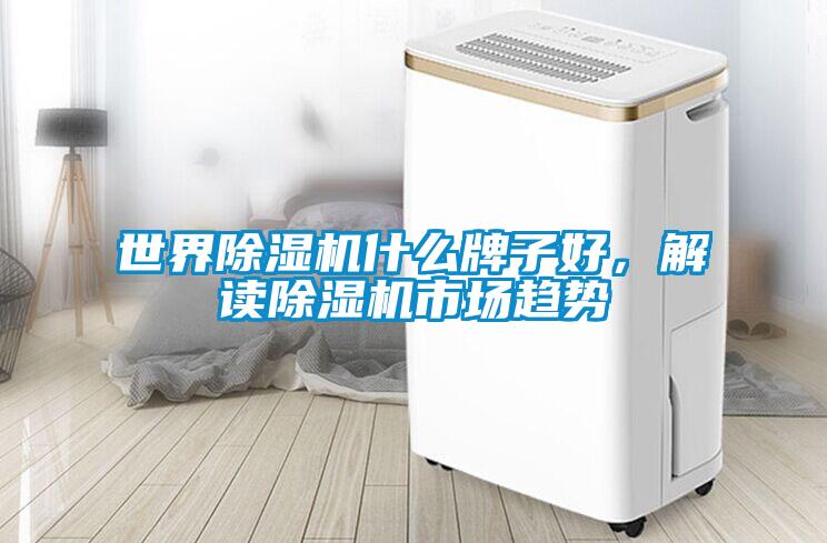 世界除濕機(jī)什么牌子好，解讀除濕機(jī)市場(chǎng)趨勢(shì)