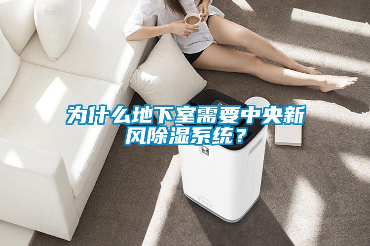 為什么地下室需要中央新風(fēng)除濕系統(tǒng)？