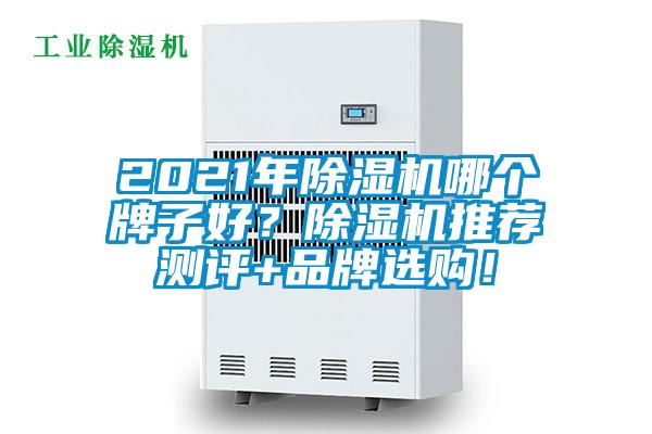 2021年除濕機哪個牌子好？除濕機推薦測評+品牌選購！