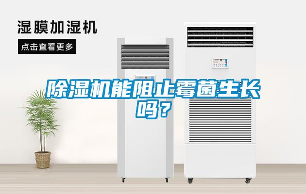 除濕機(jī)能阻止霉菌生長嗎？