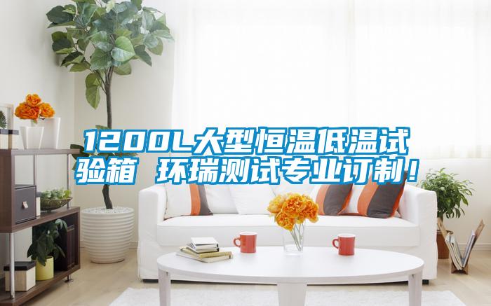 1200L大型恒溫低溫試驗(yàn)箱 環(huán)瑞測試專業(yè)訂制！