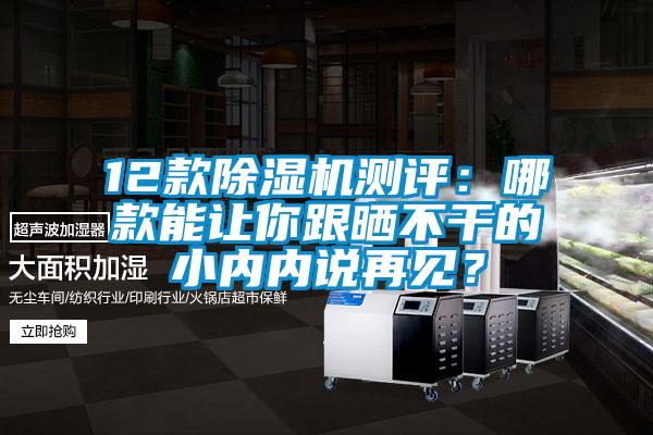 12款除濕機(jī)測評：哪款能讓你跟曬不干的小內(nèi)內(nèi)說再見？
