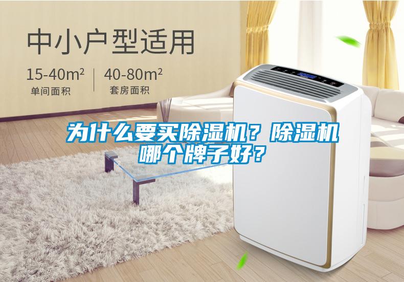 為什么要買除濕機(jī)？除濕機(jī)哪個牌子好？
