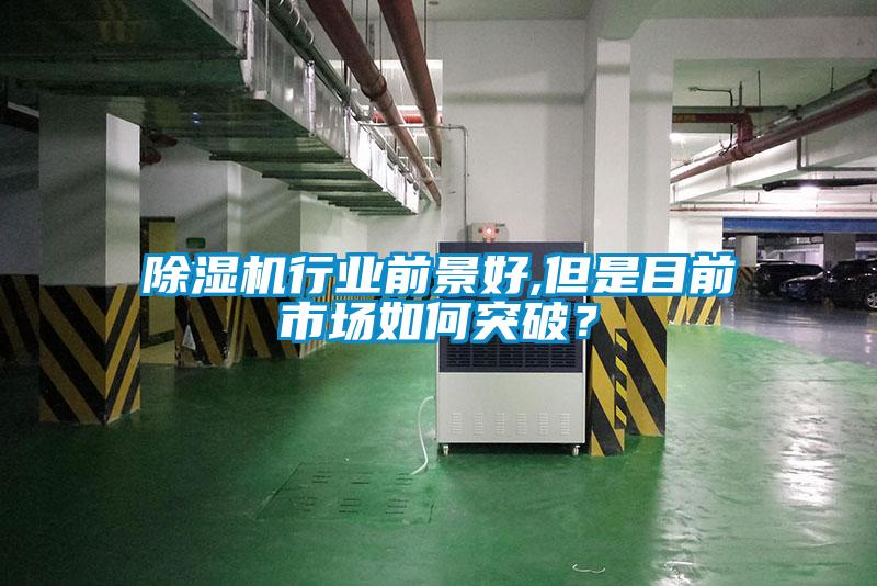 除濕機(jī)行業(yè)前景好,但是目前市場(chǎng)如何突破？