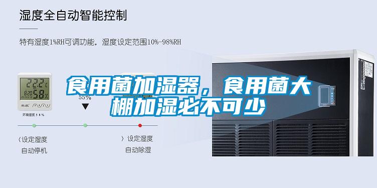 食用菌加濕器，食用菌大棚加濕必不可少