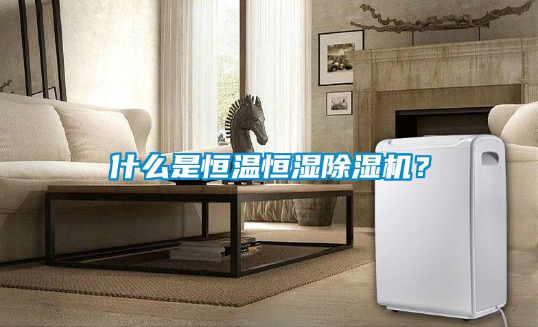 什么是恒溫恒濕除濕機？