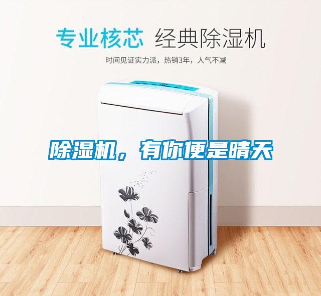 除濕機，有你便是晴天