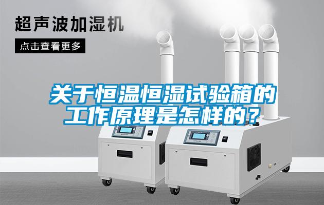 關(guān)于恒溫恒濕試驗(yàn)箱的工作原理是怎樣的？