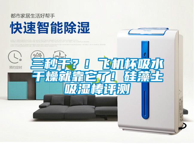 三秒干？! 飛機杯吸水干燥就靠它了! 硅藻土吸濕棒評測