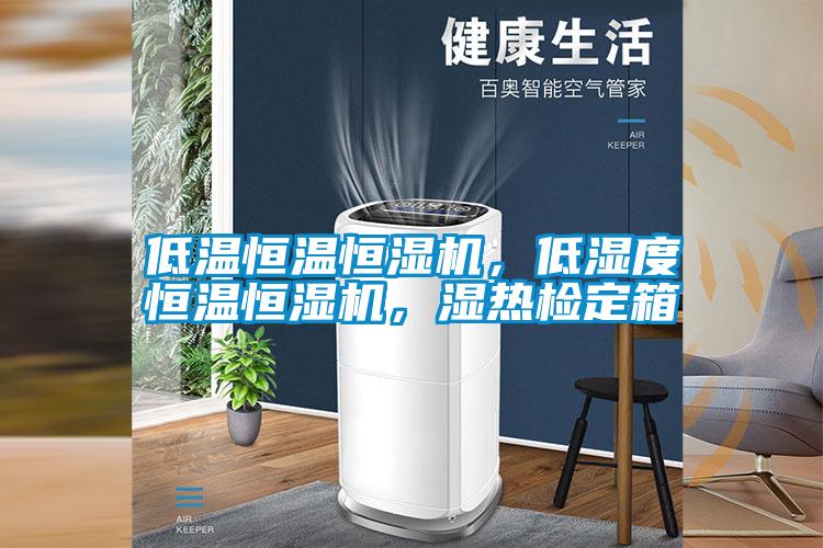 低溫恒溫恒濕機(jī)，低濕度恒溫恒濕機(jī)，濕熱檢定箱