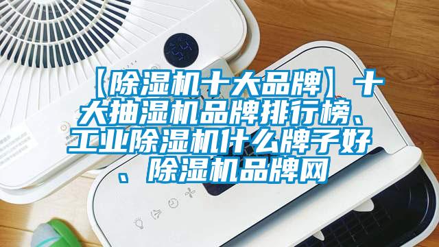 【除濕機十大品牌】十大抽濕機品牌排行榜、工業(yè)除濕機什么牌子好、除濕機品牌網(wǎng)