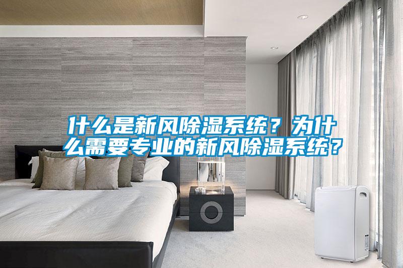 什么是新風(fēng)除濕系統(tǒng)？為什么需要專業(yè)的新風(fēng)除濕系統(tǒng)？