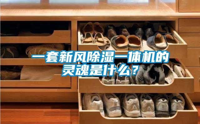 一套新風(fēng)除濕一體機(jī)的靈魂是什么？