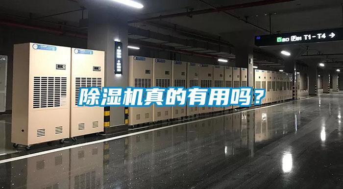 除濕機真的有用嗎？