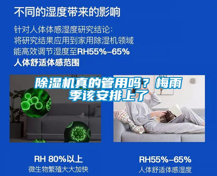 除濕機真的管用嗎？梅雨季該安排上了