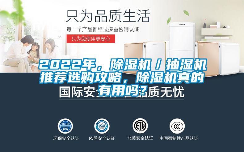 2022年，除濕機／抽濕機推薦選購攻略，除濕機真的有用嗎？