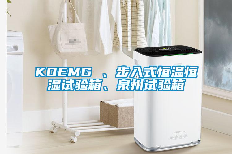KOEMG 、步入式恒溫恒濕試驗(yàn)箱、泉州試驗(yàn)箱