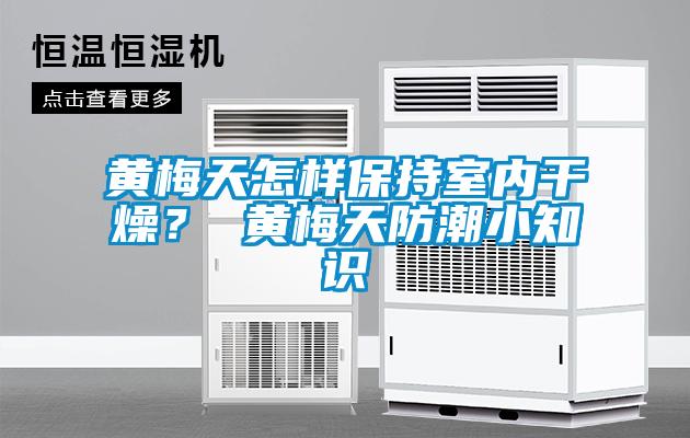 黃梅天怎樣保持室內(nèi)干燥？ 黃梅天防潮小知識