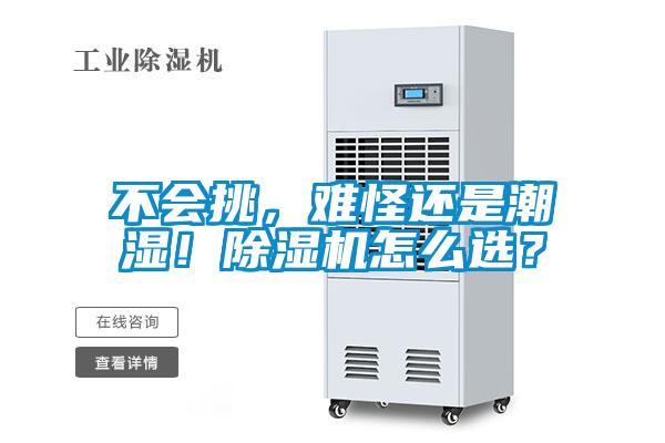 不會挑，難怪還是潮濕！除濕機怎么選？