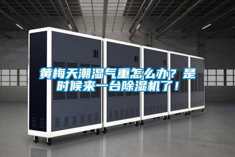 黃梅天潮濕氣重怎么辦？是時候來一臺除濕機了！