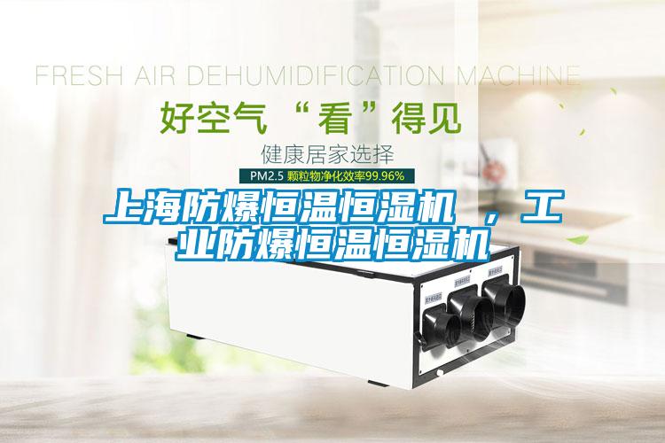 上海防爆恒溫恒濕機(jī) ，工業(yè)防爆恒溫恒濕機(jī)