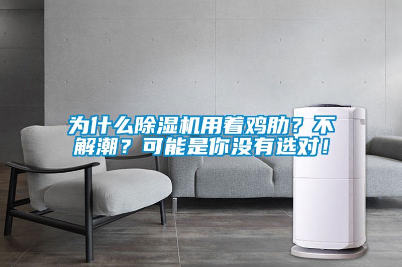 為什么除濕機(jī)用著雞肋？不解潮？可能是你沒有選對！