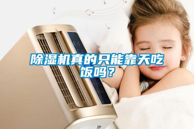除濕機真的只能靠天吃飯嗎？