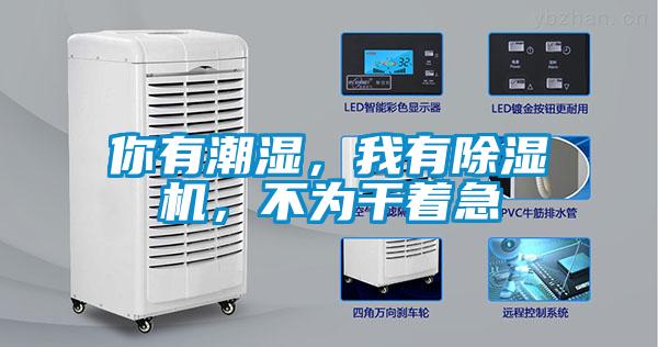 你有潮濕，我有除濕機(jī)，不為干著急