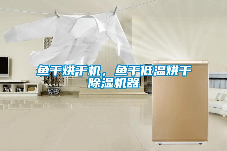 魚干烘干機，魚干低溫烘干除濕機器