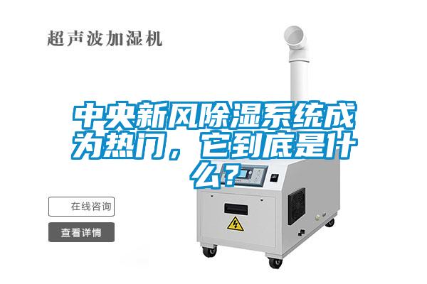 中央新風除濕系統(tǒng)成為熱門，它到底是什么？