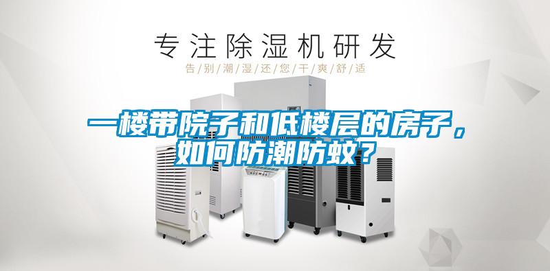 一樓帶院子和低樓層的房子，如何防潮防蚊？