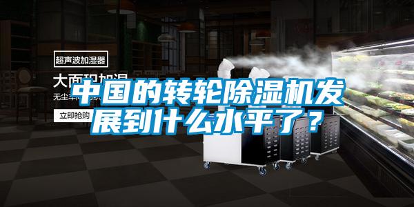 中國(guó)的轉(zhuǎn)輪除濕機(jī)發(fā)展到什么水平了？