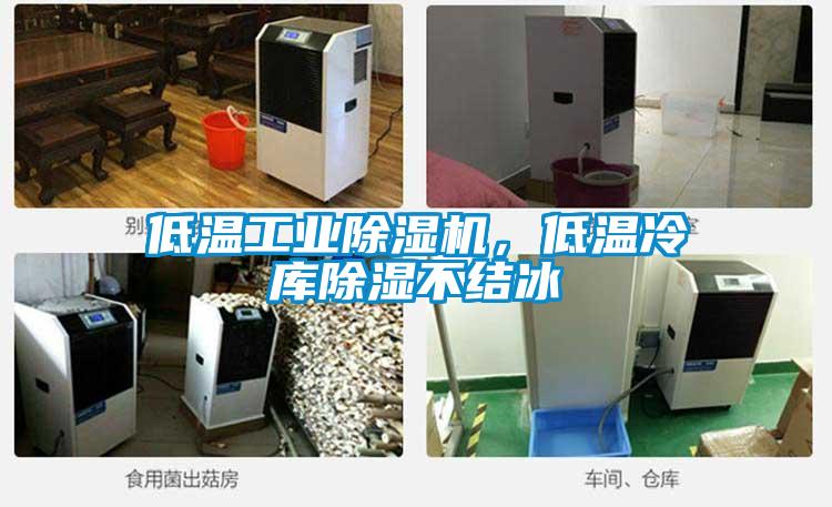 低溫工業(yè)除濕機，低溫冷庫除濕不結(jié)冰