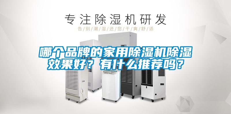 哪個品牌的家用除濕機除濕效果好？有什么推薦嗎？