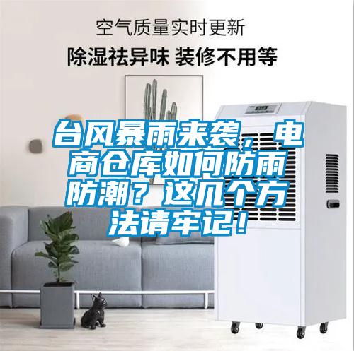 臺風(fēng)暴雨來襲，電商倉庫如何防雨防潮？這幾個方法請牢記！