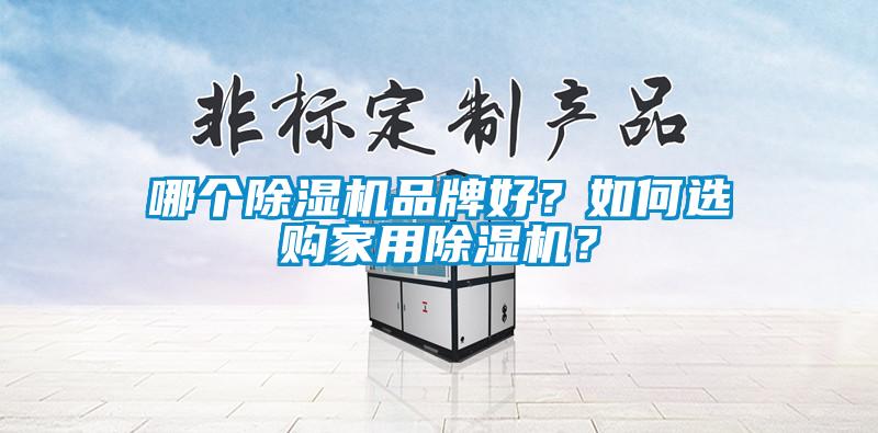 哪個除濕機品牌好？如何選購家用除濕機？