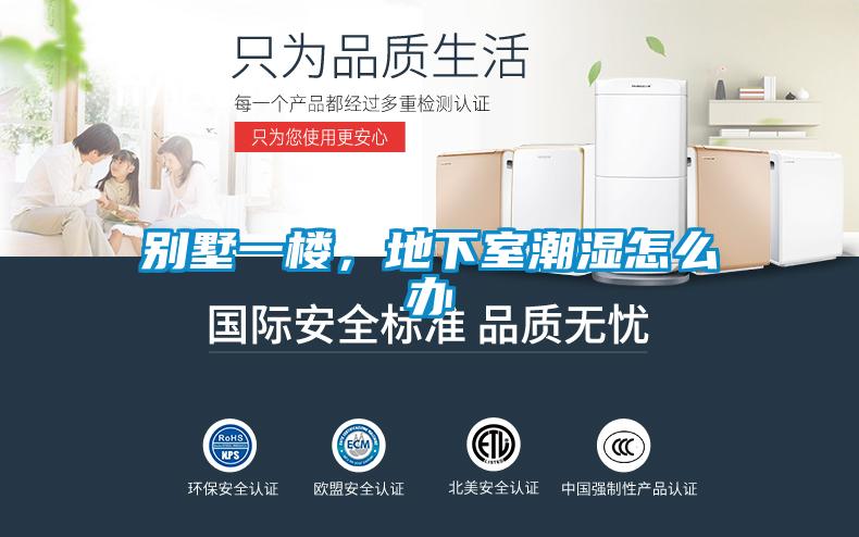 別墅一樓，地下室潮濕怎么辦