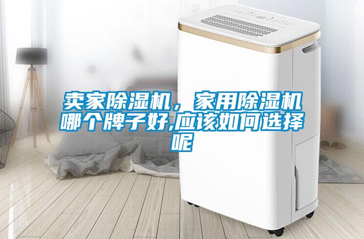 賣家除濕機，家用除濕機哪個牌子好,應(yīng)該如何選擇呢