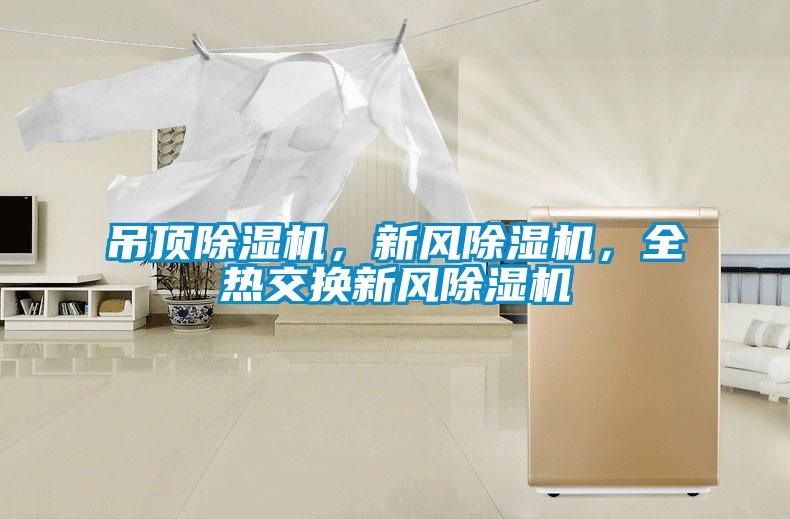 吊頂除濕機(jī)，新風(fēng)除濕機(jī)，全熱交換新風(fēng)除濕機(jī)