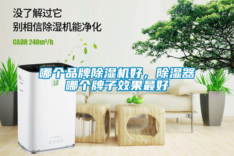 哪個(gè)品牌除濕機(jī)好，除濕器哪個(gè)牌子效果最好