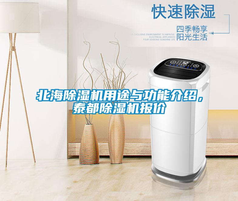 北海除濕機(jī)用途與功能介紹，泰都除濕機(jī)報(bào)價(jià)