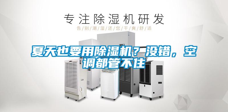 夏天也要用除濕機(jī)？沒錯，空調(diào)都管不住