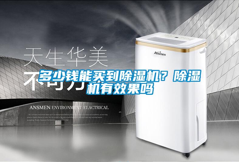 多少錢能買到除濕機？除濕機有效果嗎