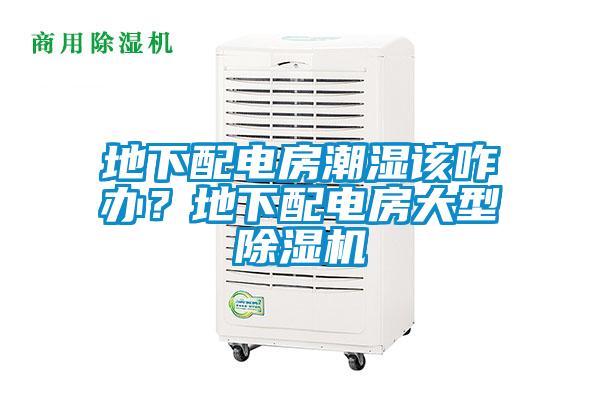 地下配電房潮濕該咋辦？地下配電房大型除濕機(jī)