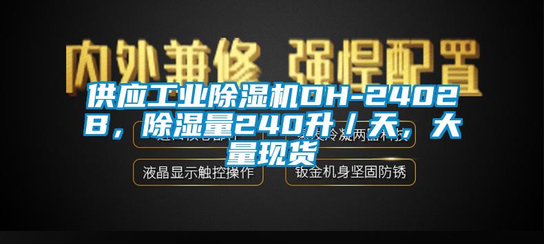 供應(yīng)工業(yè)除濕機(jī)DH-2402B，除濕量240升／天，大量現(xiàn)貨