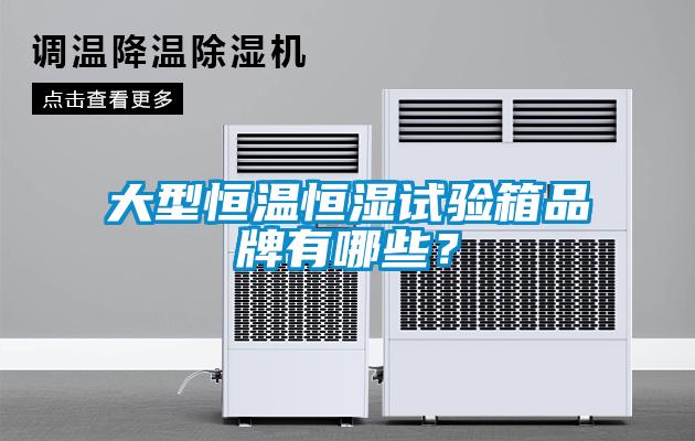 大型恒溫恒濕試驗(yàn)箱品牌有哪些？
