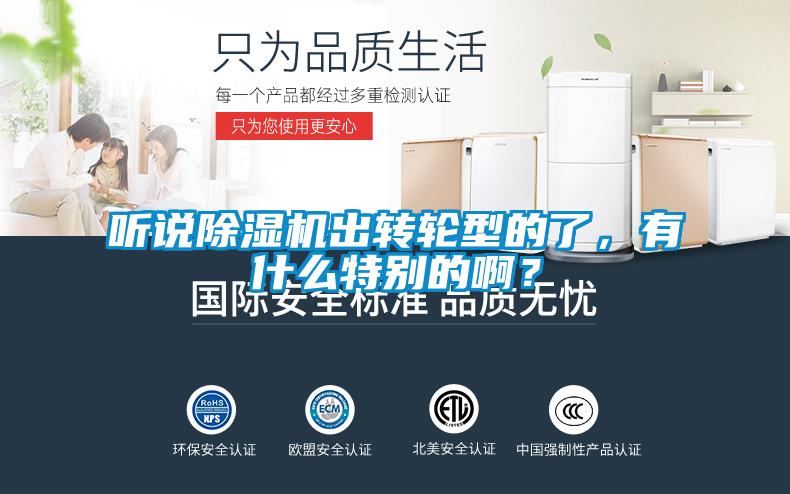 聽說除濕機(jī)出轉(zhuǎn)輪型的了，有什么特別的?。?/></p>
						    <p style=