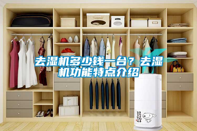 去濕機(jī)多少錢一臺？去濕機(jī)功能特點(diǎn)介紹